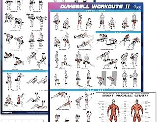Best Back Exercise Dumbbells: Choose for the Row You Practice