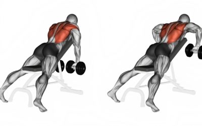 Best Lat Exercises With Dumbbells: Review the Supported Row