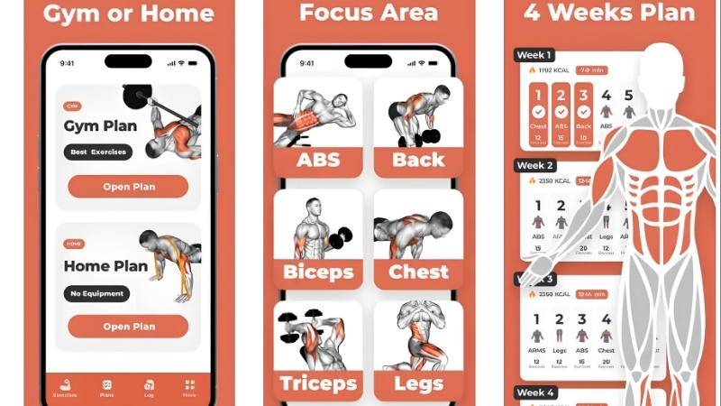 How to Pick the Best at Home Full Body Workout Equipment