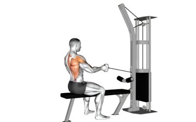 Best Cable Machine for Home Gym: Adjustments, Resistance and Fit