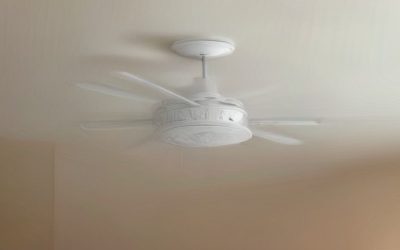Best Dc Motor Ceiling Fan (2026)