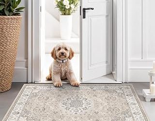 Best Entryway Rug (2026)