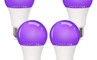 Best Who Invented the Light Bulb Black Man in 2026: How the Top Models Compare