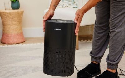 Air Purifier for Room With Litter Box: Best Expert Picks
