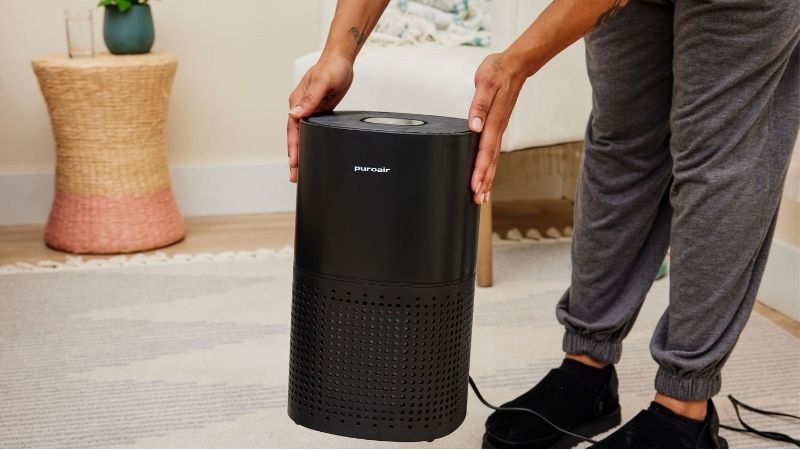 air purifier for room with litter box