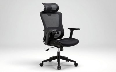 Are Ergonomic Chairs Good for Your Back: What Matters Most
