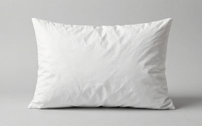 Back Pillow for Back Pain: Lumbar, Knee and Wedge Picks for Bed