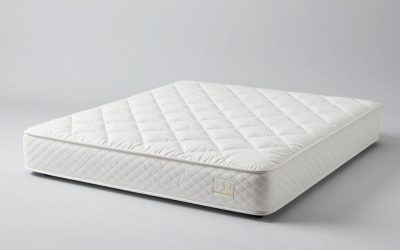 Bed Bug Mattress Encasements: How They Work and What to Look For