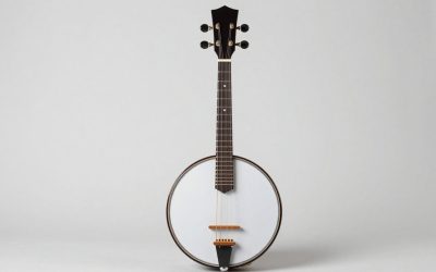 Best Banjos for Beginners and Experienced Players