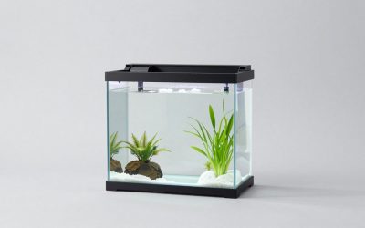 Best Fish Tank Stands for Safe, Stylish Support