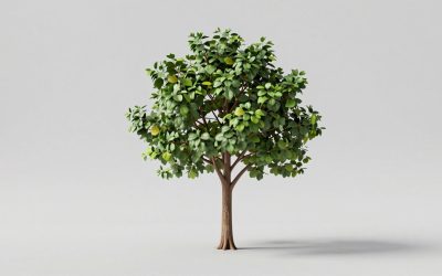 Best Hall Trees with Mirrors for Organized Entryways