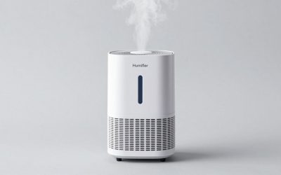 Best Humidifier for Dry Nose: Winter Heating Season Picks