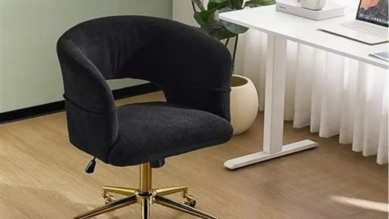 desk chair with adjustable lumbar support