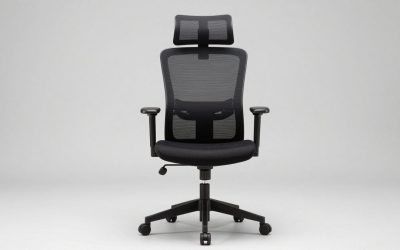 Ergonomic Mesh Office Chair: Top Picks for Home Workspaces