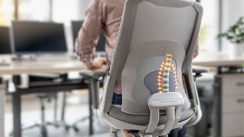 ergonomic vs orthopedic chair