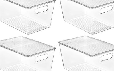 Plastic Boxes with Lids for Storage: Top Smart Buying Guide